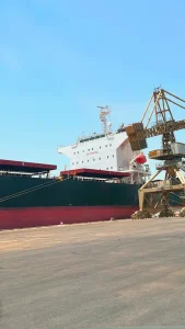 Bulk carrier ship transporting dry cargo at sea